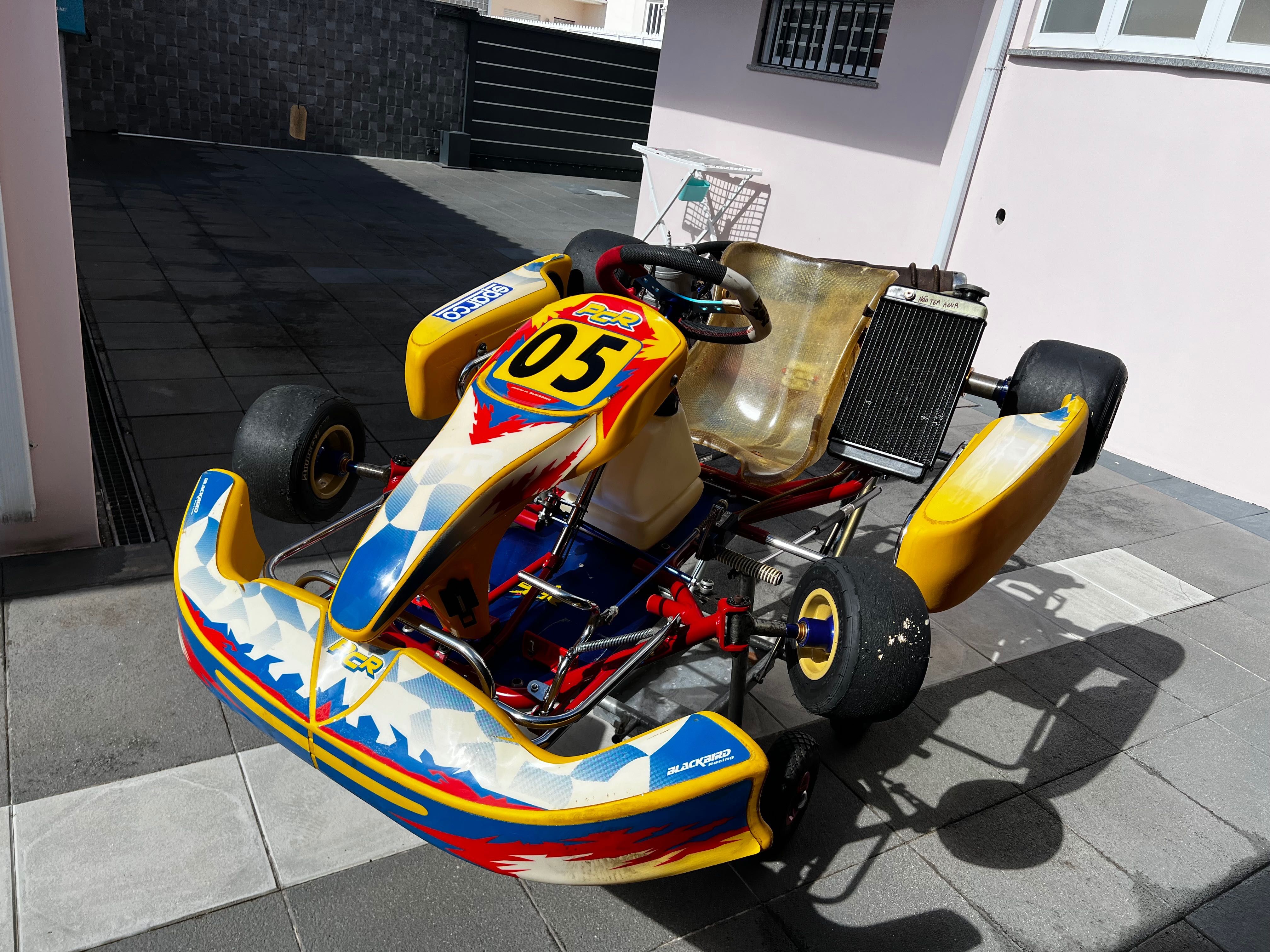 Karting 100cc marca PCR Com dois motores com rodagem por fazer