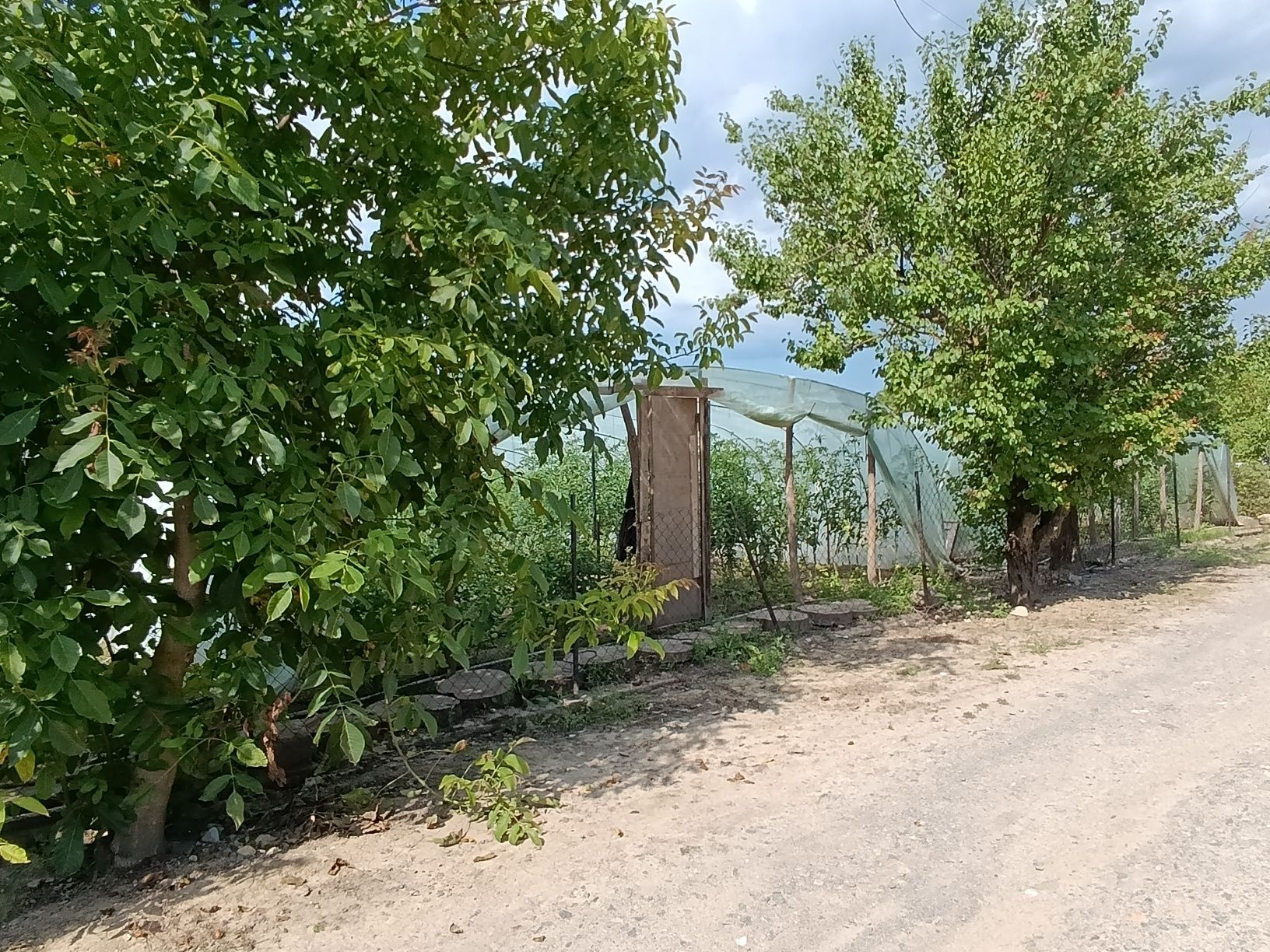 Продам земельну ділянку 6 сот