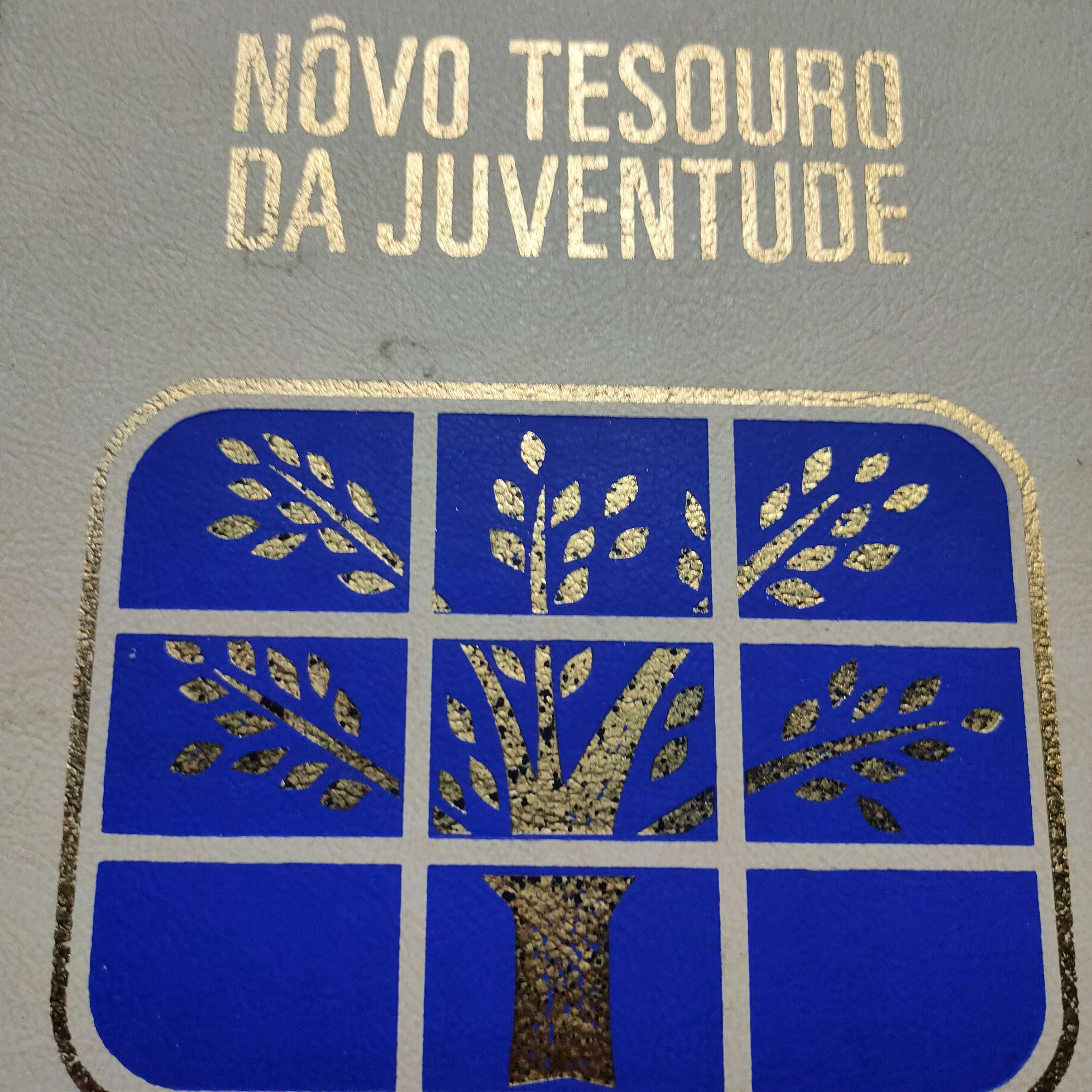 Novo Tesouro da Juventude 18