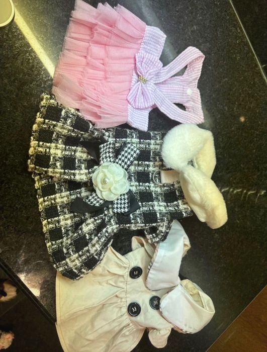 Conjunto roupa Chihuahua (cadela ou gata de porte pequeno)