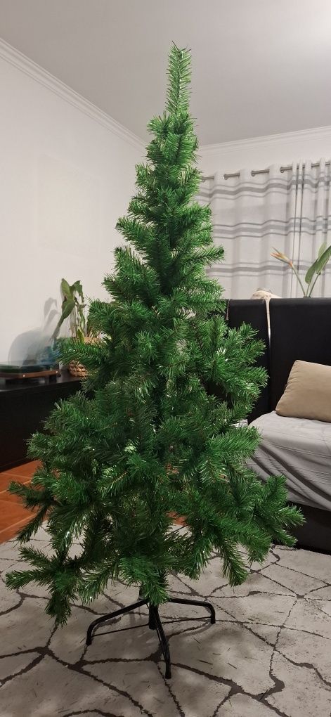 Árvore pinheiro de natal
