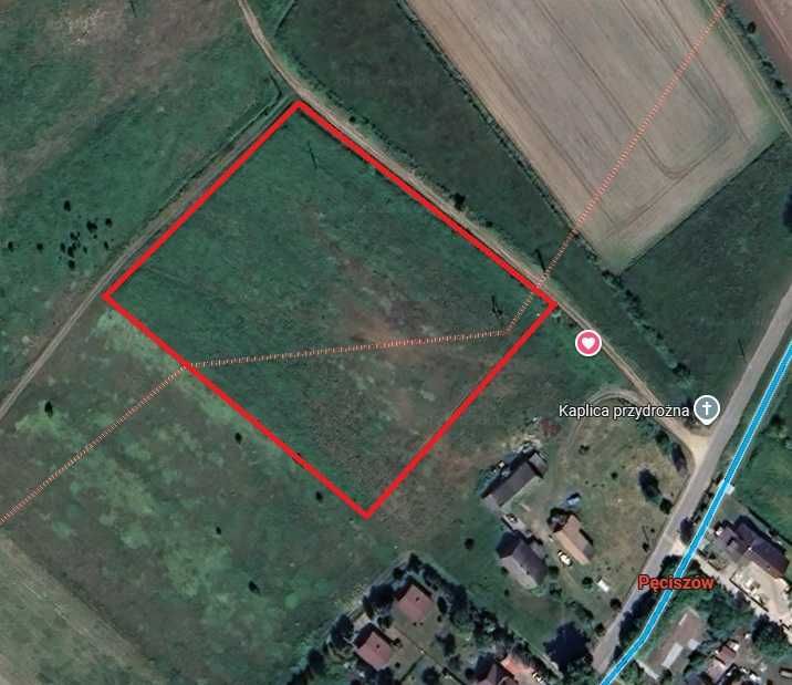 Działka 10 000 m2 w miejscowości Pęciszów