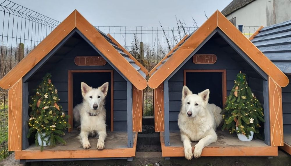 Buda dla psa z tarasem i oknem 180kg wysyłka cała PL