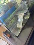 Akwarium terrarium dla żółwia