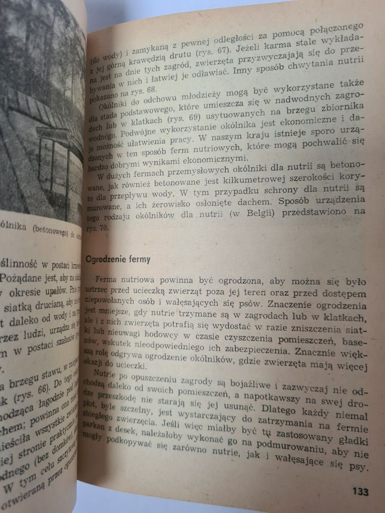 Chów nutrii - Roman Kopański. Książka