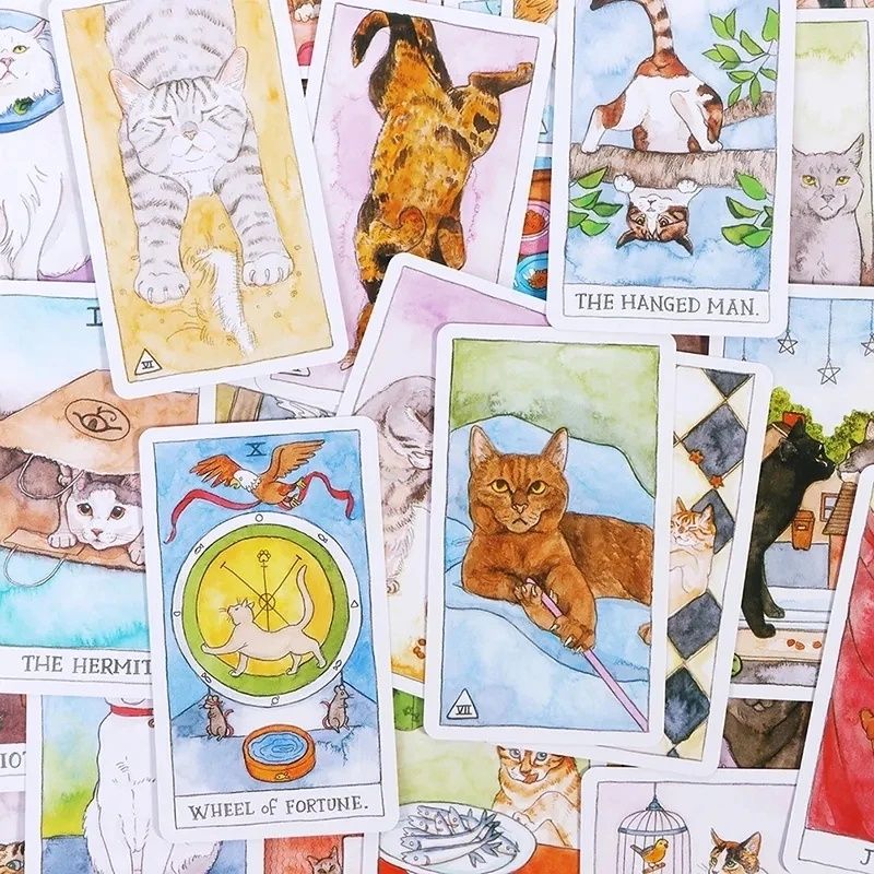 Baralho de Tarot cat