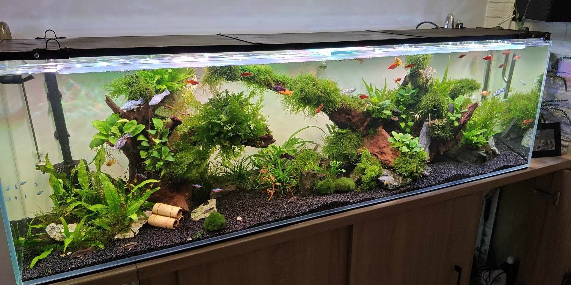 Akwarium 405 l /180x45*50/ optiwhite/ full zestaw / transport