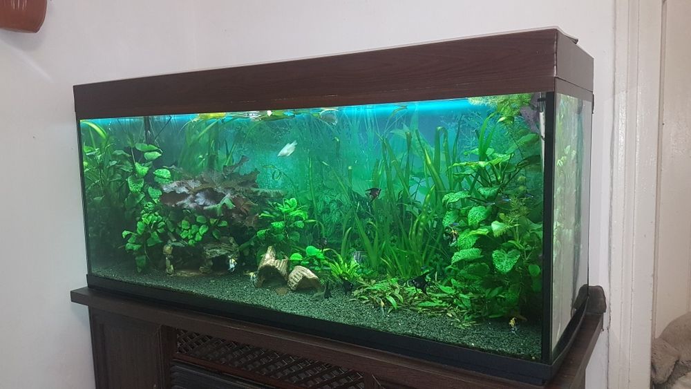 Продам акваріум .