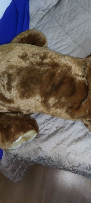 Peluche cão bom estado