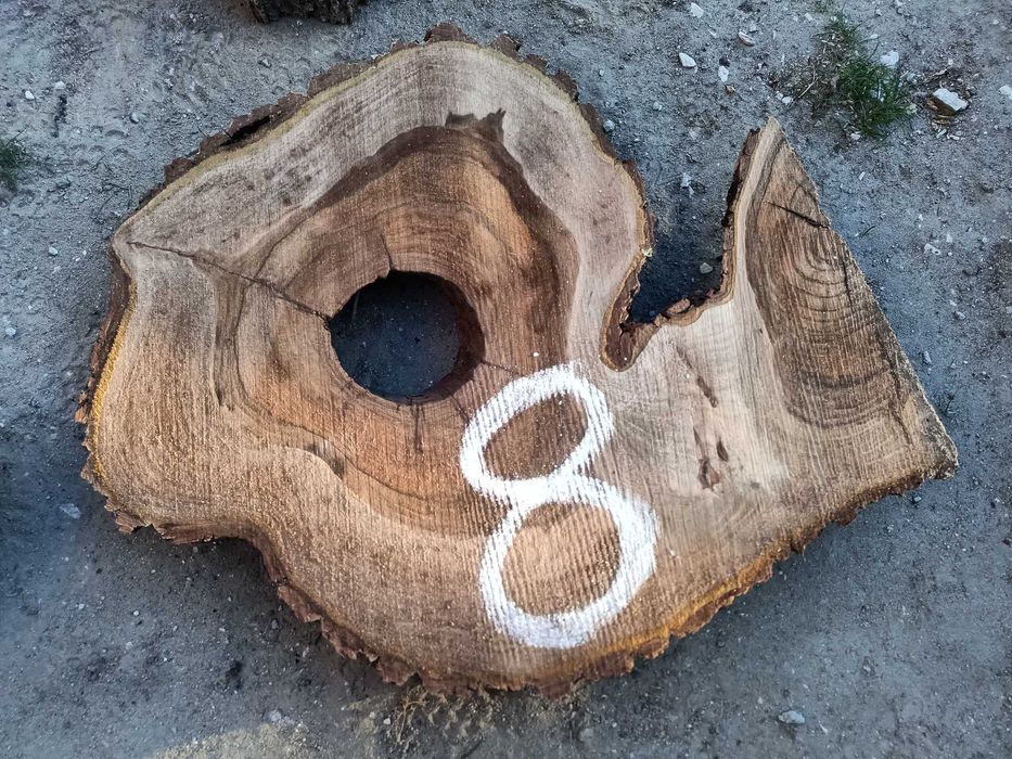 Plastry orzech wloski 7cm żywica stolik