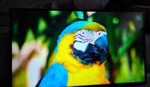 Monitor LG 49" Super Jakość