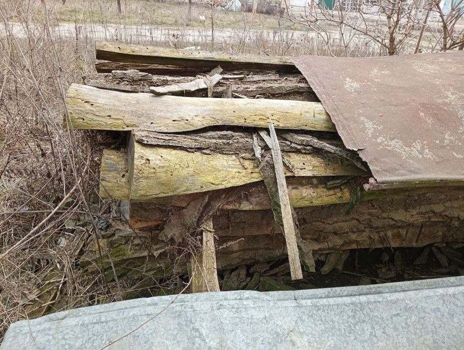 Обзел тополя (2,1 м³) - 300 грн