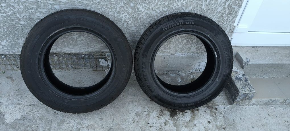 Шини на авто 225.65.R17