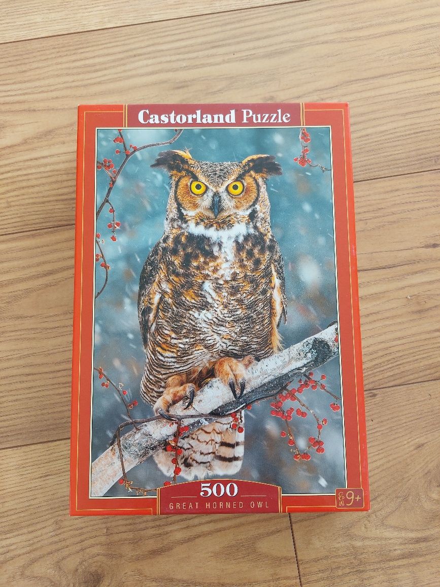 Puzzle castorland 500