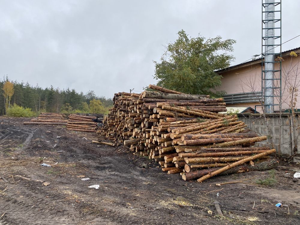 Продам дрова соснові, 2-4 м, 1400 грн. м.куб, доставка.