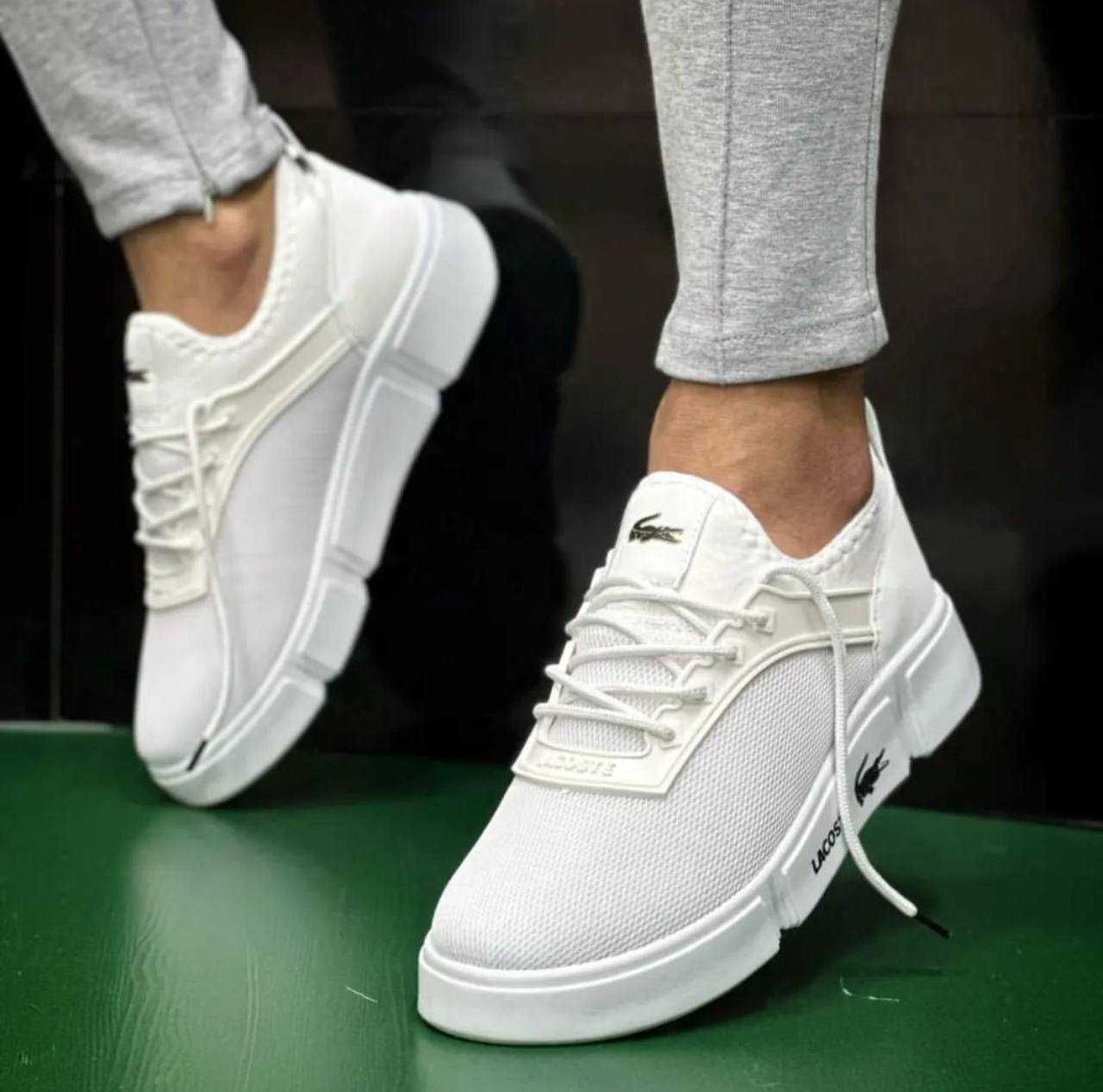 Чоловічі кросівки Lacoste білий LC015 НОВИНКА