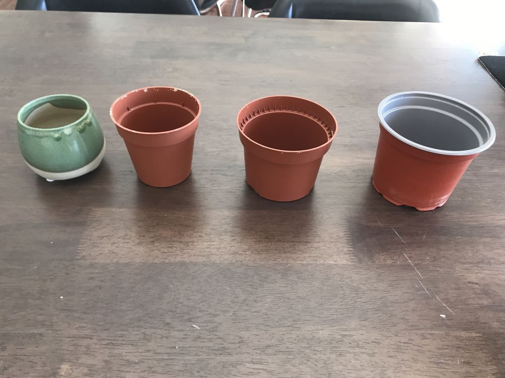 Vários vasos médios e pequenos para plantas