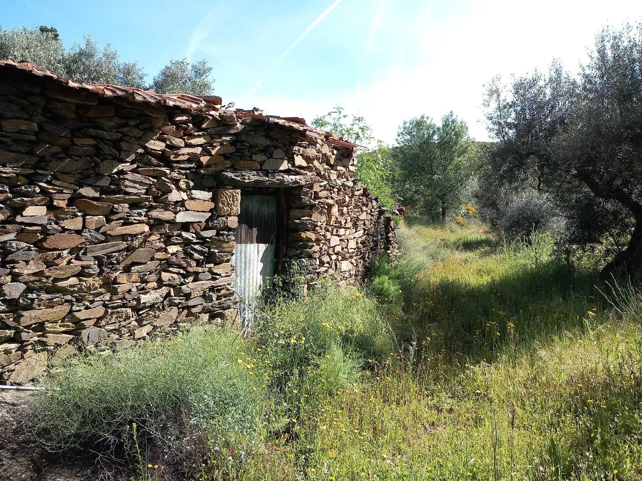 Terreno com casas para reconstruir