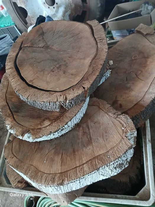 10 Rodelas de sobreiro