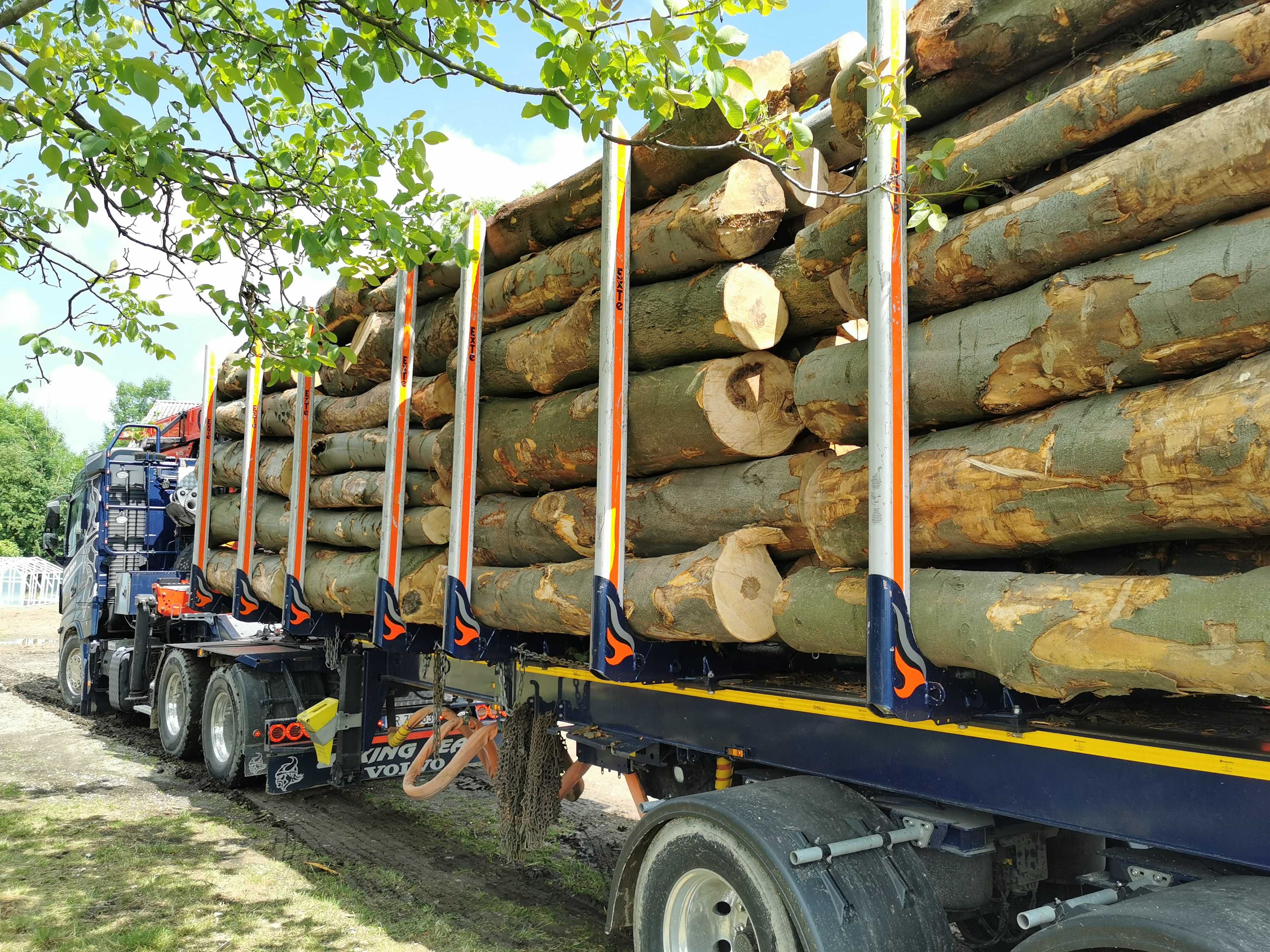 Drewno Opałowe Kominkowe Buk Grab Sezonowany Transport