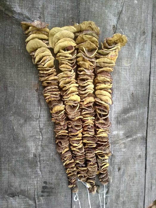 Podgrzybki suszone, kapelusze 300g. Dostawa OLX.