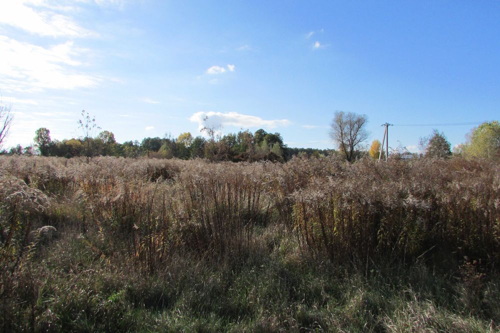 ПУХІВКА. Земельна ділянка 19 соток під забудову.