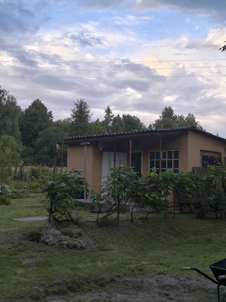 Działka rekreacyjna ROD Zgoda