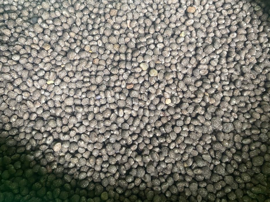 Sprzedam łubin niebieski ,młynkowany(oczyszczony)