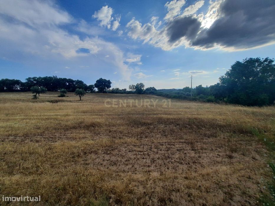 Terreno em São Miguel D Acha