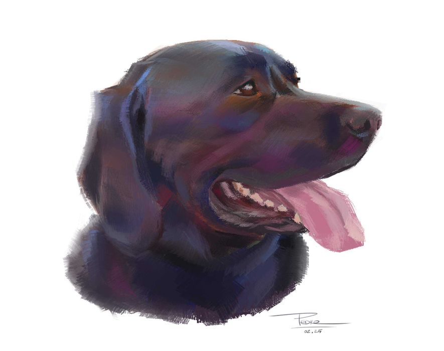 Retratos de animais a carvão (P&B), a pastel (cores) ou digital