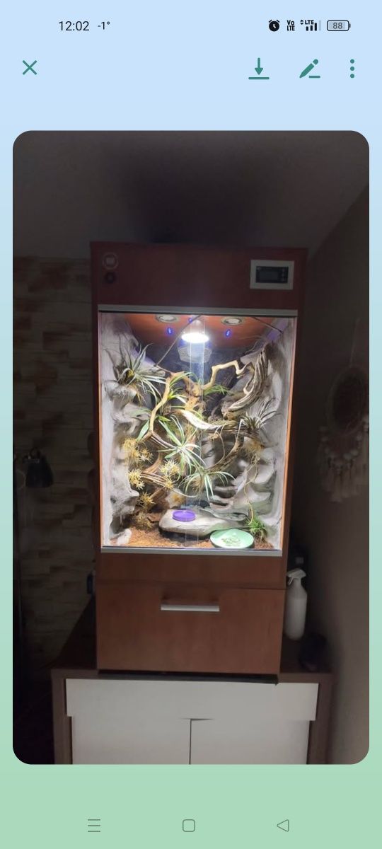 Wyposażone terrarium