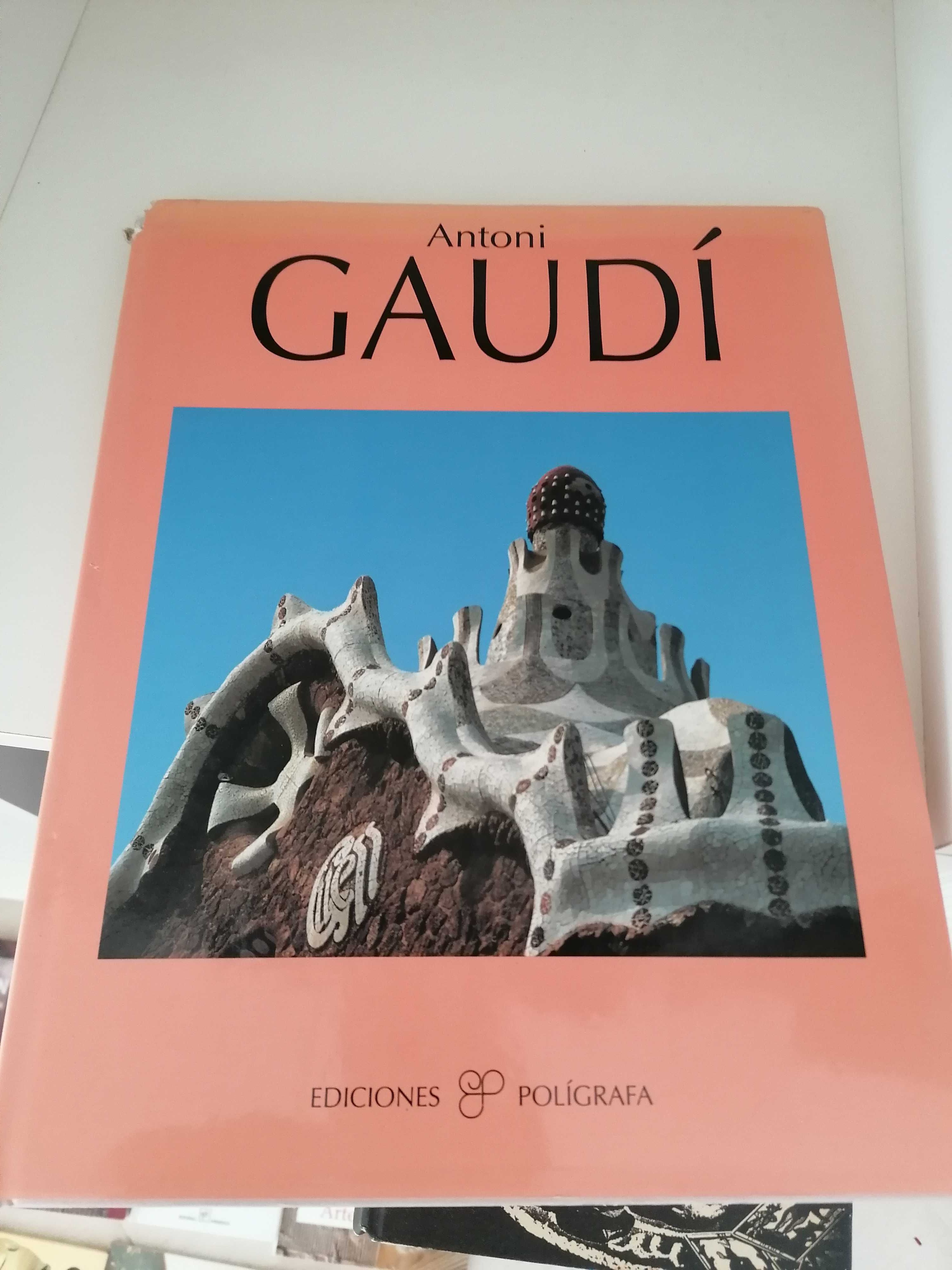 Livros Arte de Joana Miró e Antoni Gaudí - Ediciones Polígrafa