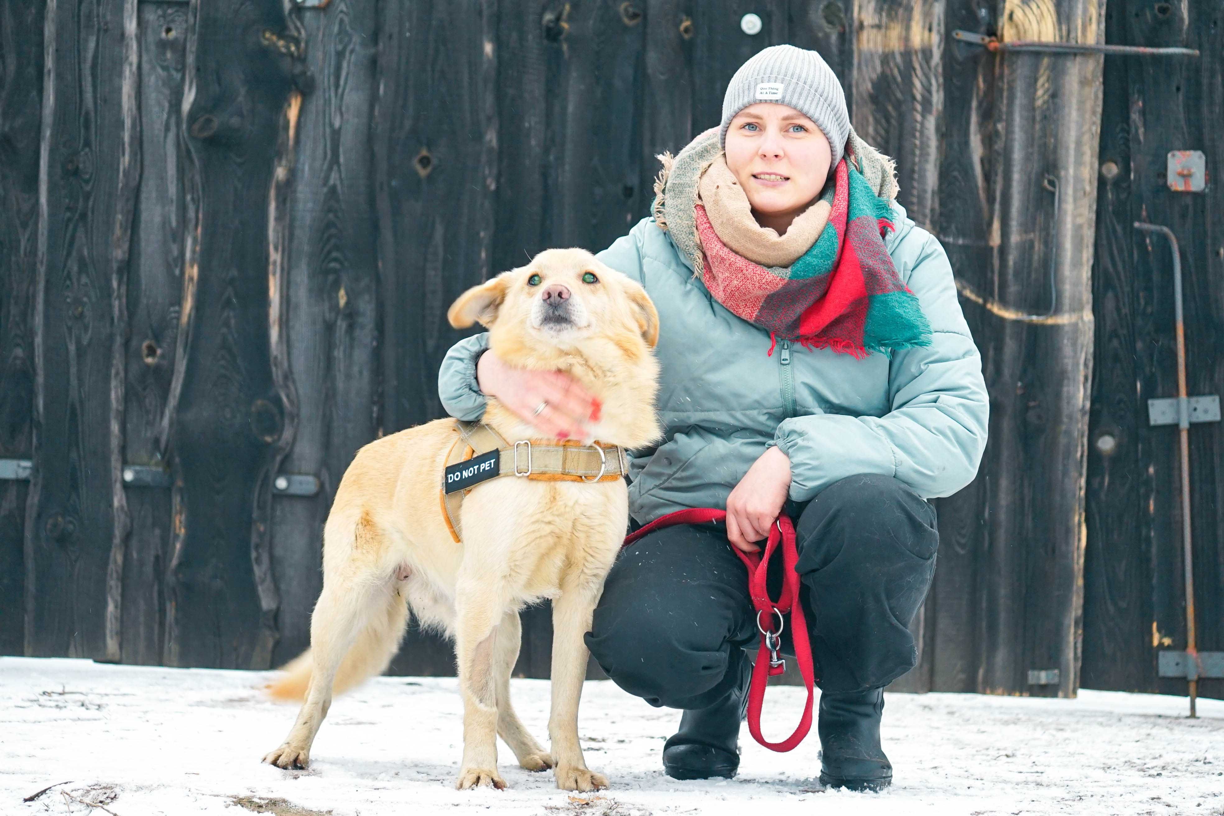 Robaczek - niewidomy psiak szuka domu, labrador