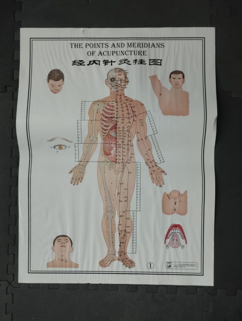 Posters meridianos medicina chinesa