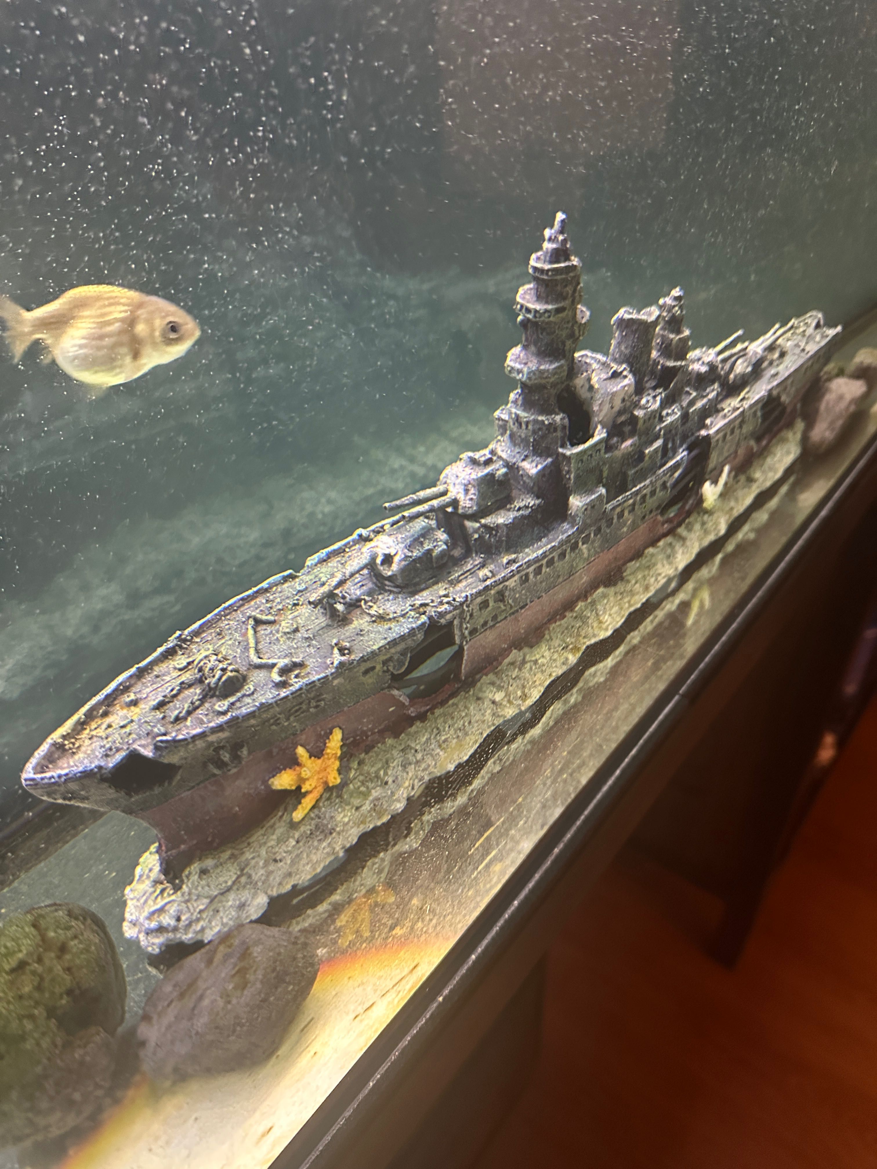 Barco decoração aquário