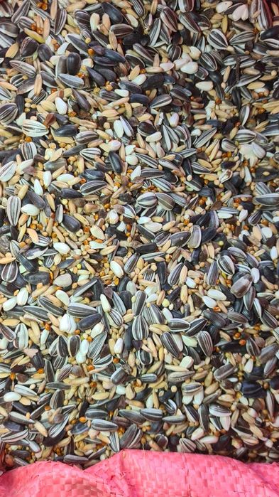 Mieszanka dla papug średnich. Bez sorga, pszenicy i kukurydzy (20kg)