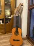 Gitara klasyczna - idealna do nauki + zestaw kostek