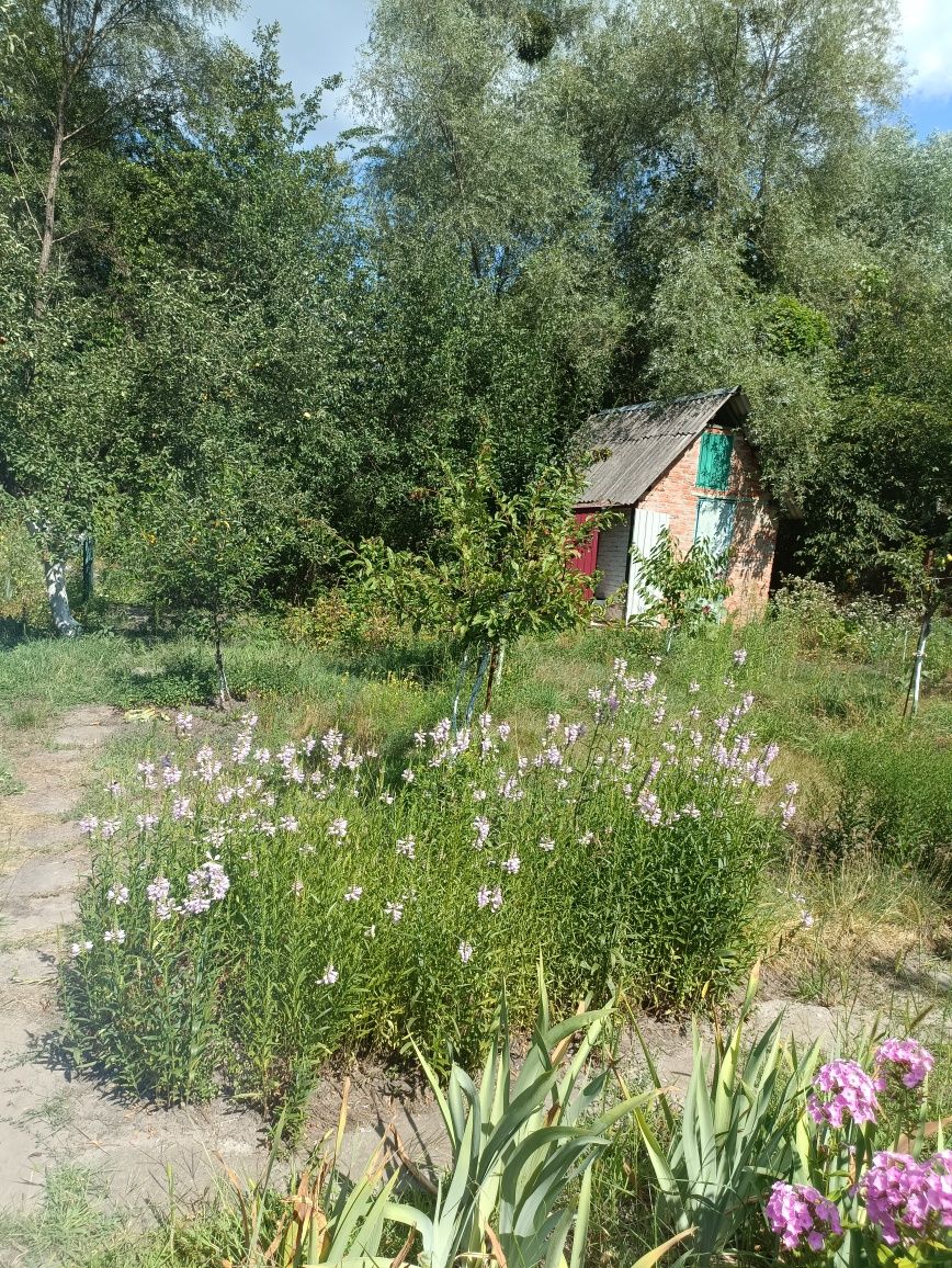 Продам дачу 6соток