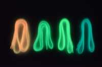 Шнурки Светлячки плоские, светящиеся, флуоресцентные