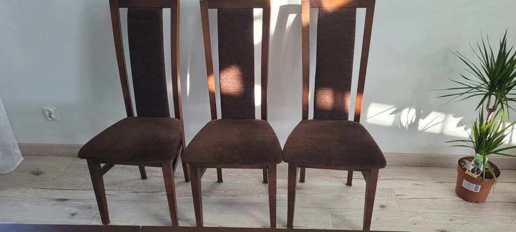 Krzesła Krzesło drewno kolor Wenge 6 sztuk