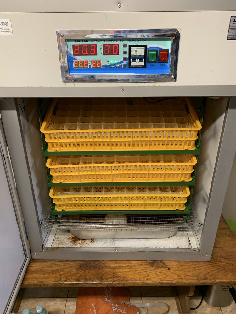 Inkubator do jaj automatyczny