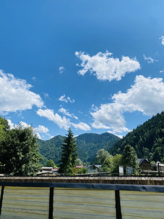 Житло у Карпатах, оренда, котедж