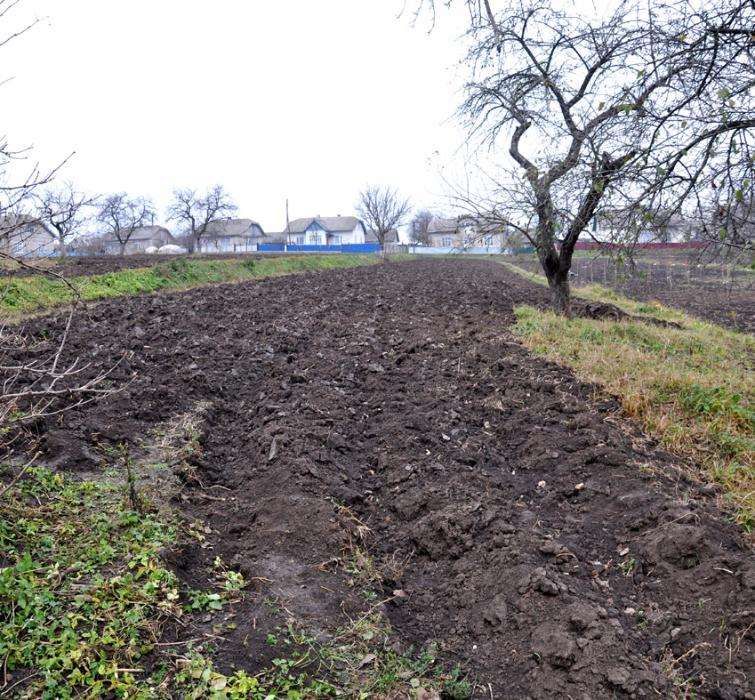 Земельна ділянка в с. Дзвиняч, Заліщицький район ,Тернопільська обл.