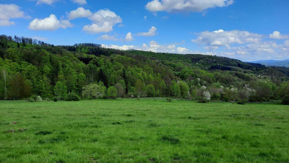 Działka budowlana pod usługi turystyczne Srebrna Góra / Wilcza Osada