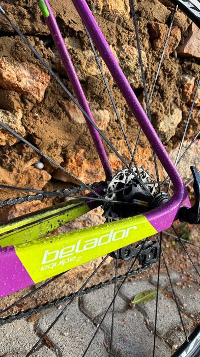 Bicicleta berria (estrada/carbono)