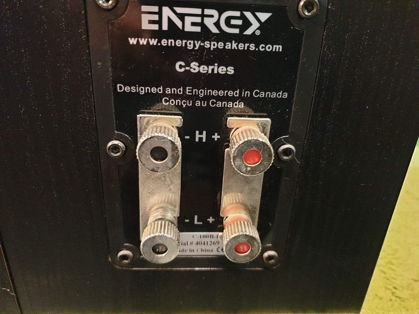 ENERGY C-series C-100B-1 głośniki monitory podstawkowe.