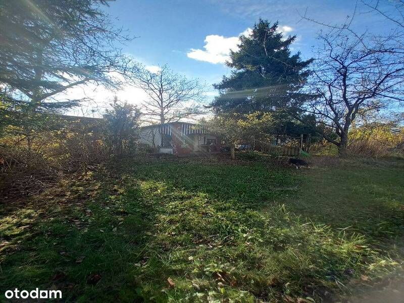 syndyk sprzeda ogród działkowy ROD Webera, Zabrze