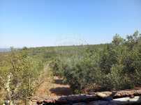 Terreno  para venda