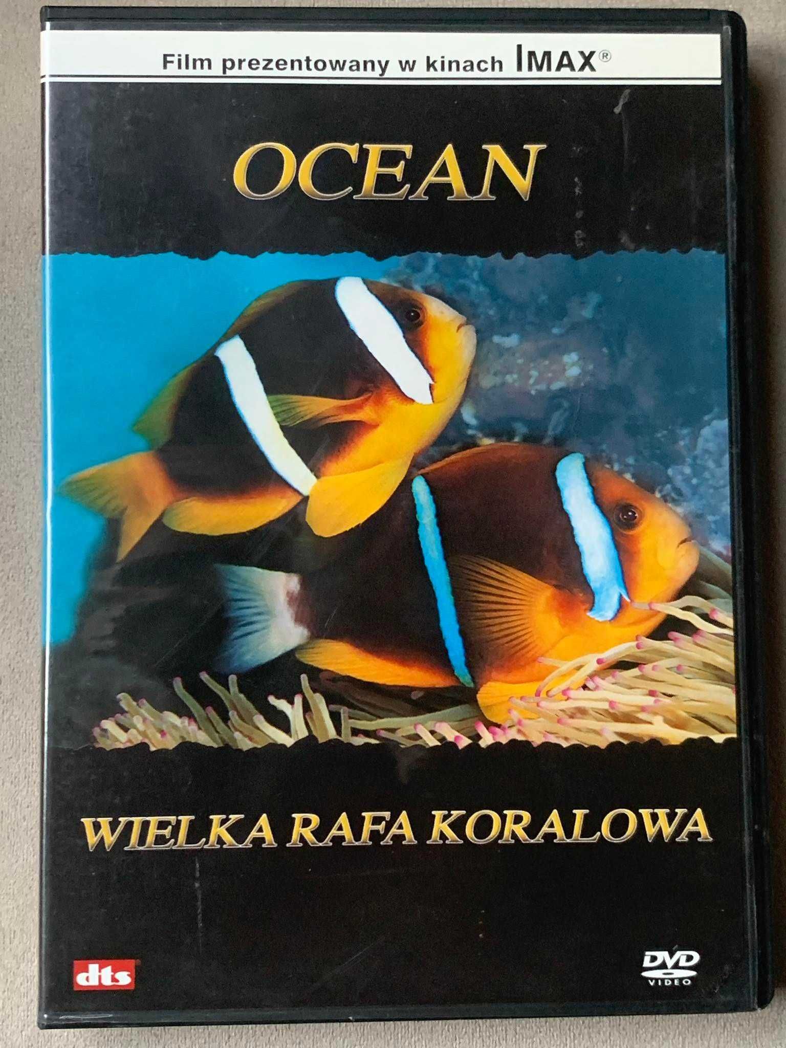 Ocean - Wielka Rafa Koralowa - DVD - stan EX!