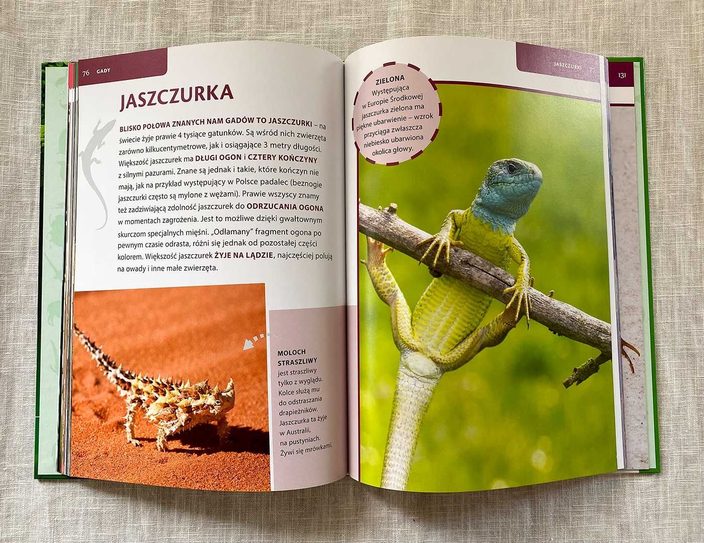 Świat zwierząt książka album encyklopedia